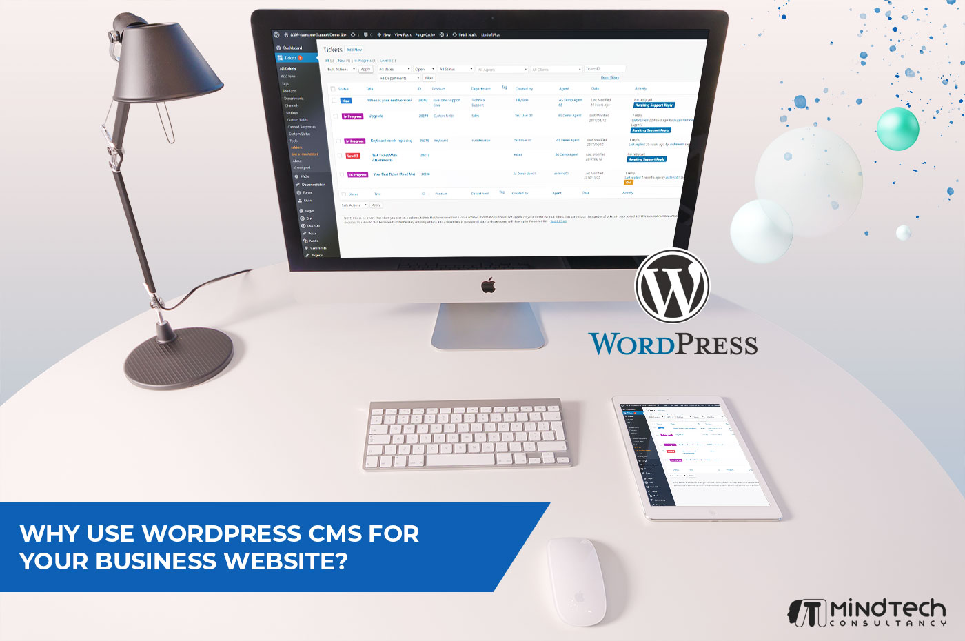 Why Use WordPress CMS
