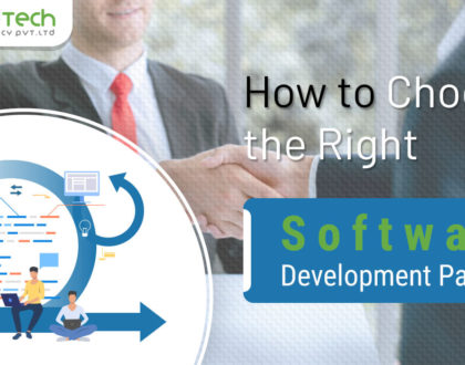 Software Development Partner